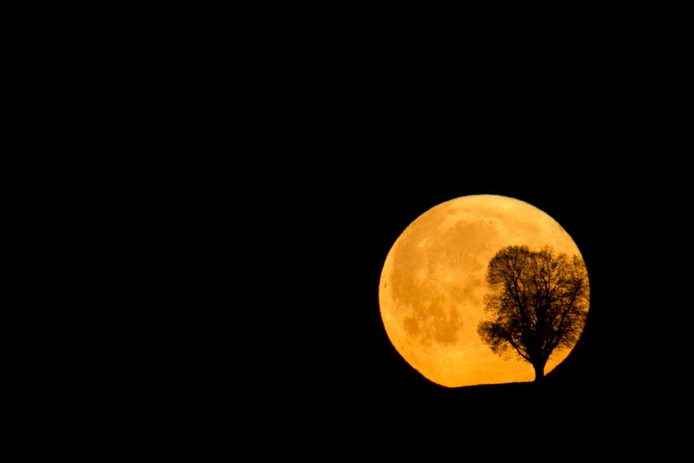 Vollmond vom 18.04.2011 Foto & Bild | mondaufnahmen, himmel & universum