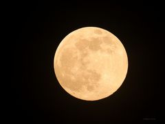 Vollmond vom 26.04.2021