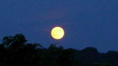 Vollmond vor der Finsternis