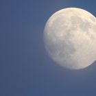 Vollmond während der Abenddämmerung