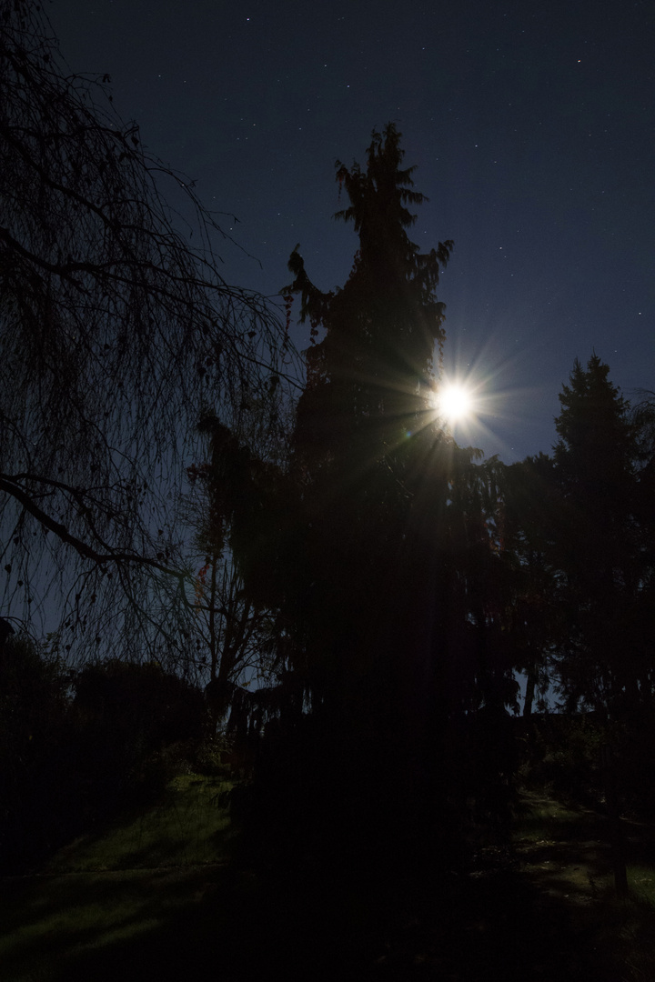 Vollmond zum Stern gemacht