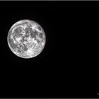 Vollmond_20131118