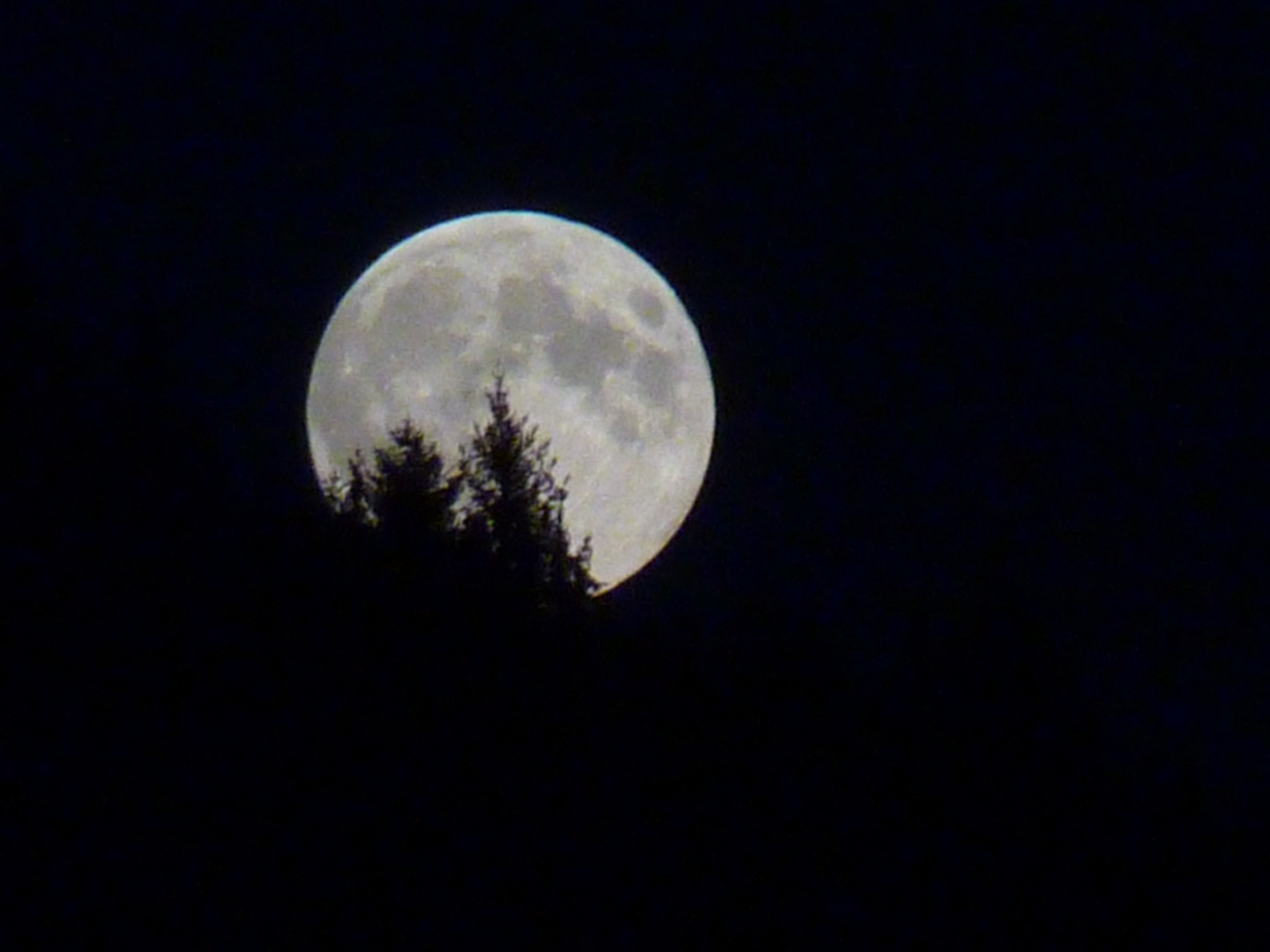 Vollmondaufgang, Bay. Wald, 09.09.2014