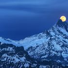 Vollmondaufgang beim Schreckhorn