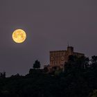 Vollmond_Hambacher Schloss