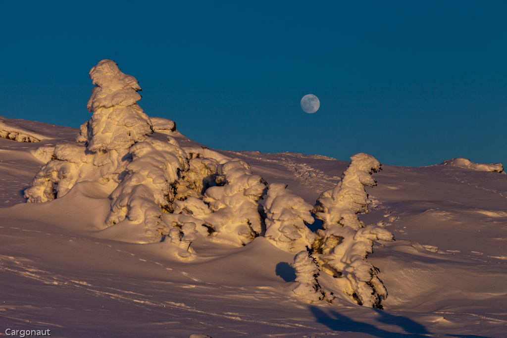 Vollmondnacht auf dem Brocken