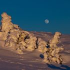 Vollmondnacht auf dem Brocken