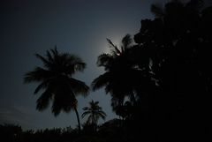 Vollmondnacht auf einer Insel im Indischen Ozean