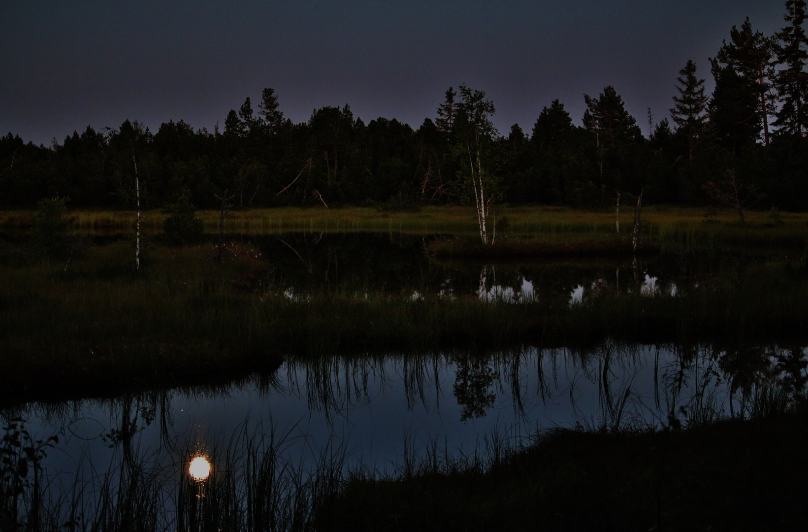 VOLLMONDNACHT im Wildseemoor