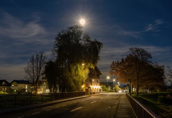 Vollmondnacht in Plittersdorf