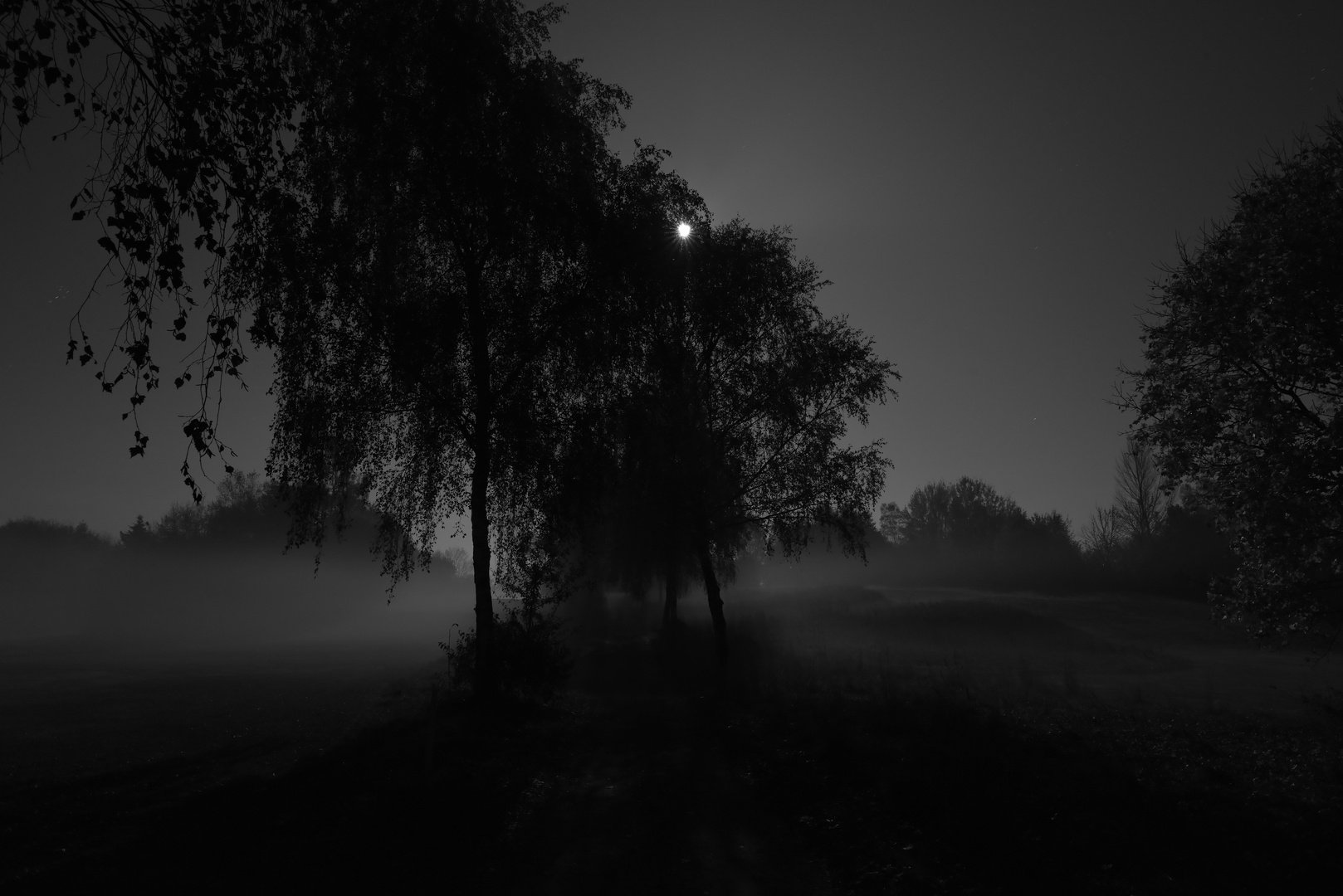 Vollmondnacht mit Nebel