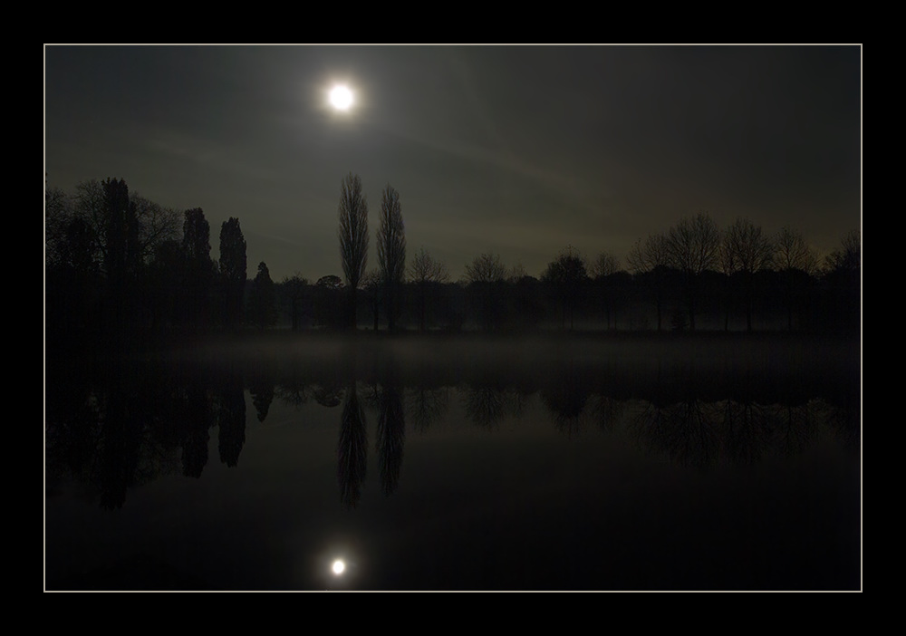 Vollmondnacht und Bodennebel von Helmut Adler