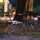 Vollmondstimmung im Biergarten