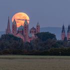 Vollmonduntergang am Speyerer Dom