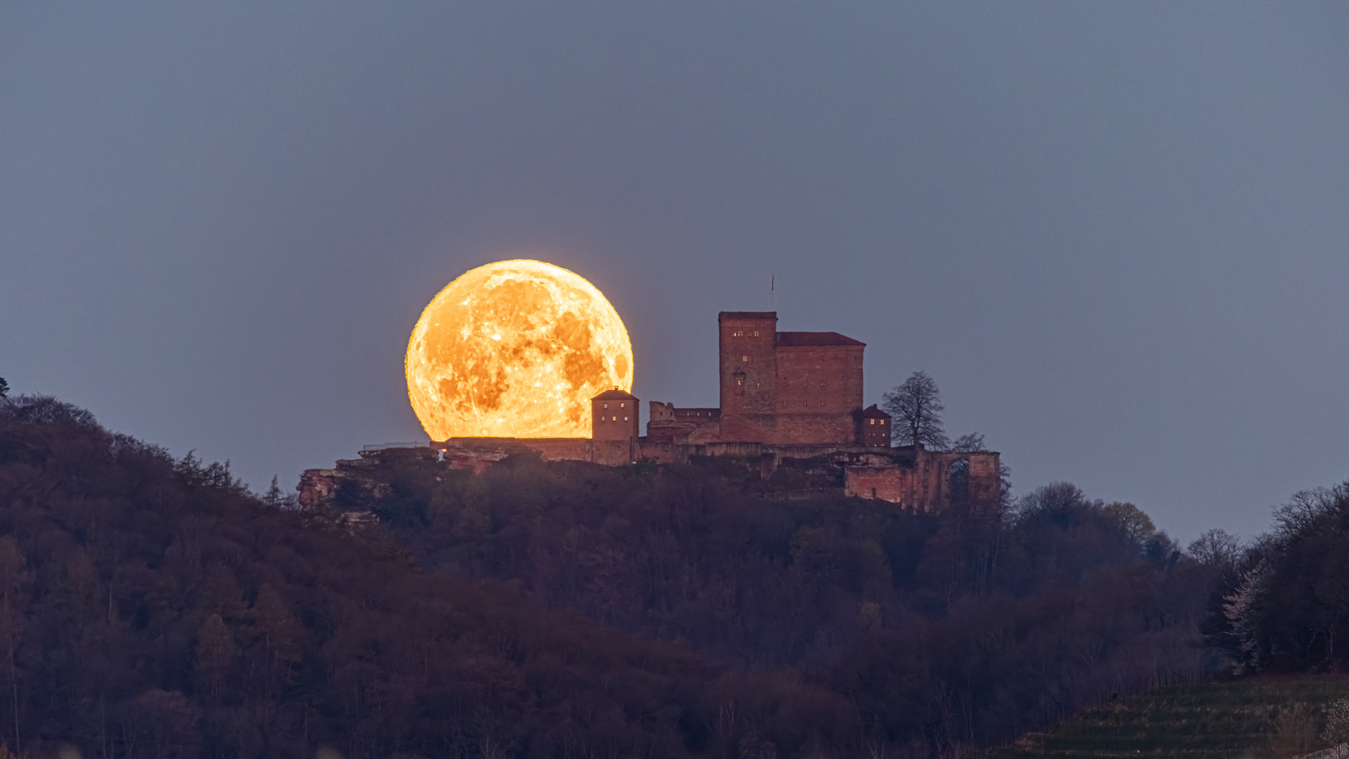 Vollmonduntergang hinter der Burg Trifels