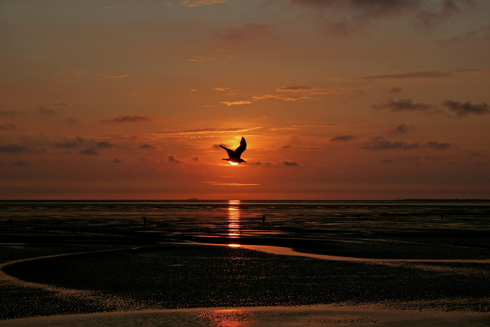 Volltreffer zum Sonnenuntergang am Meer