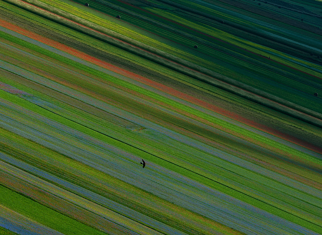 Volo a colori