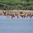 volo a pelo d' acqua