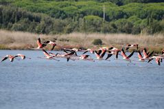 volo a pelo d' acqua