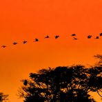 volo al tramonto