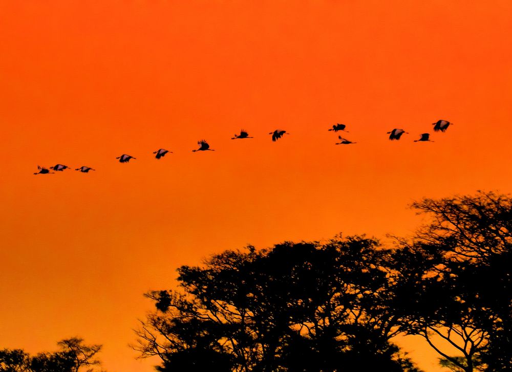 volo al tramonto