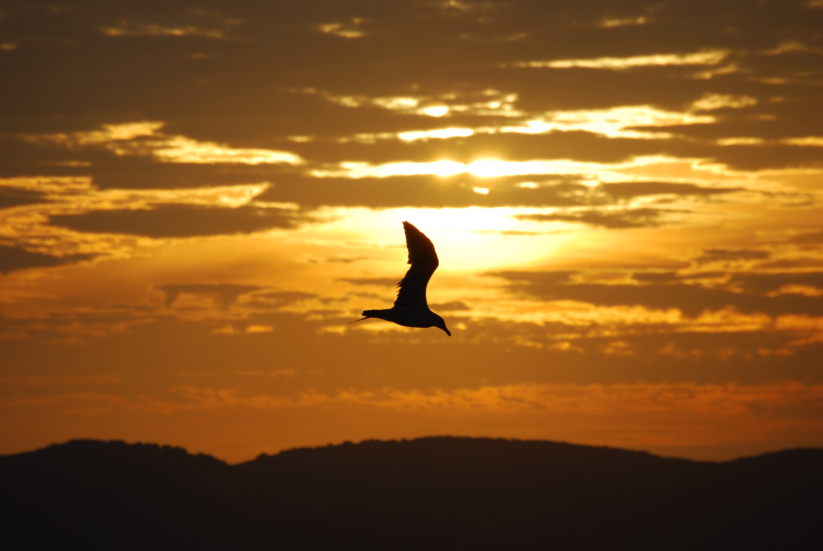 Volo al tramonto