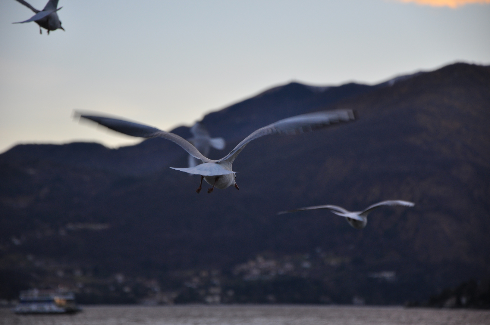 Volo d'inverno