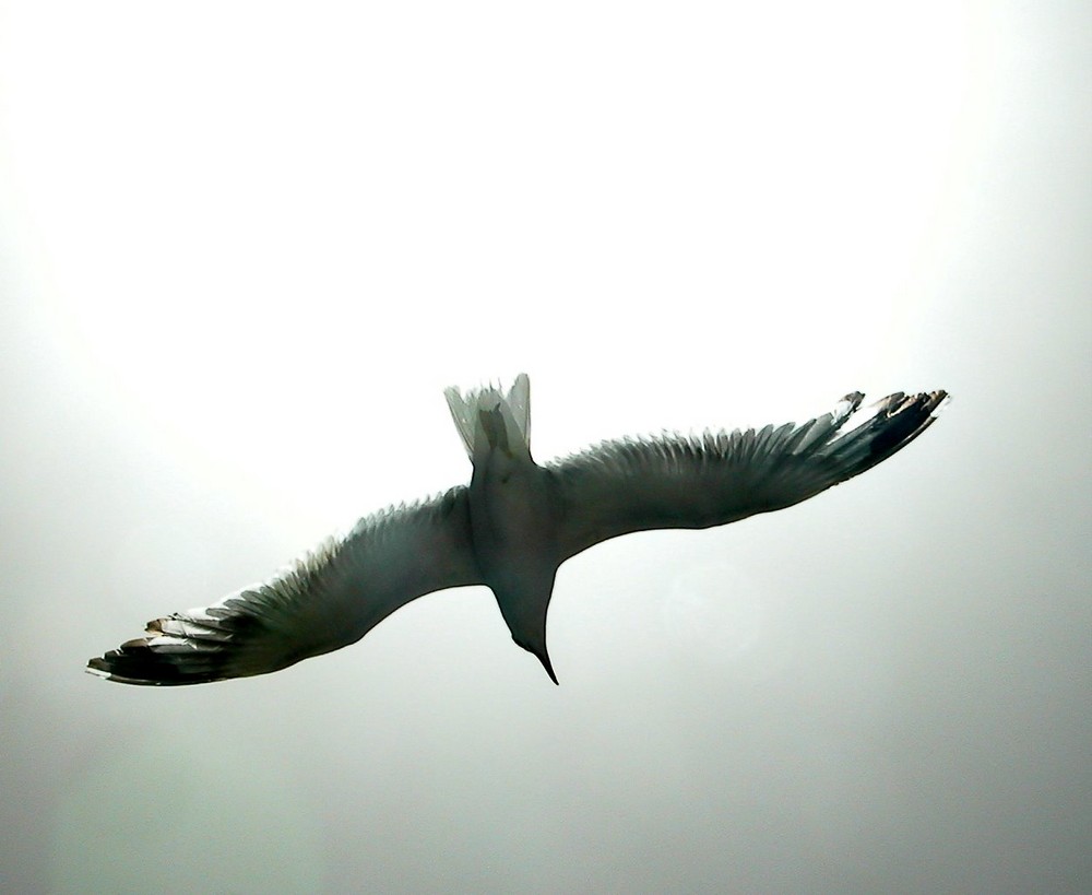 volo libre .Ciutadella Menorca