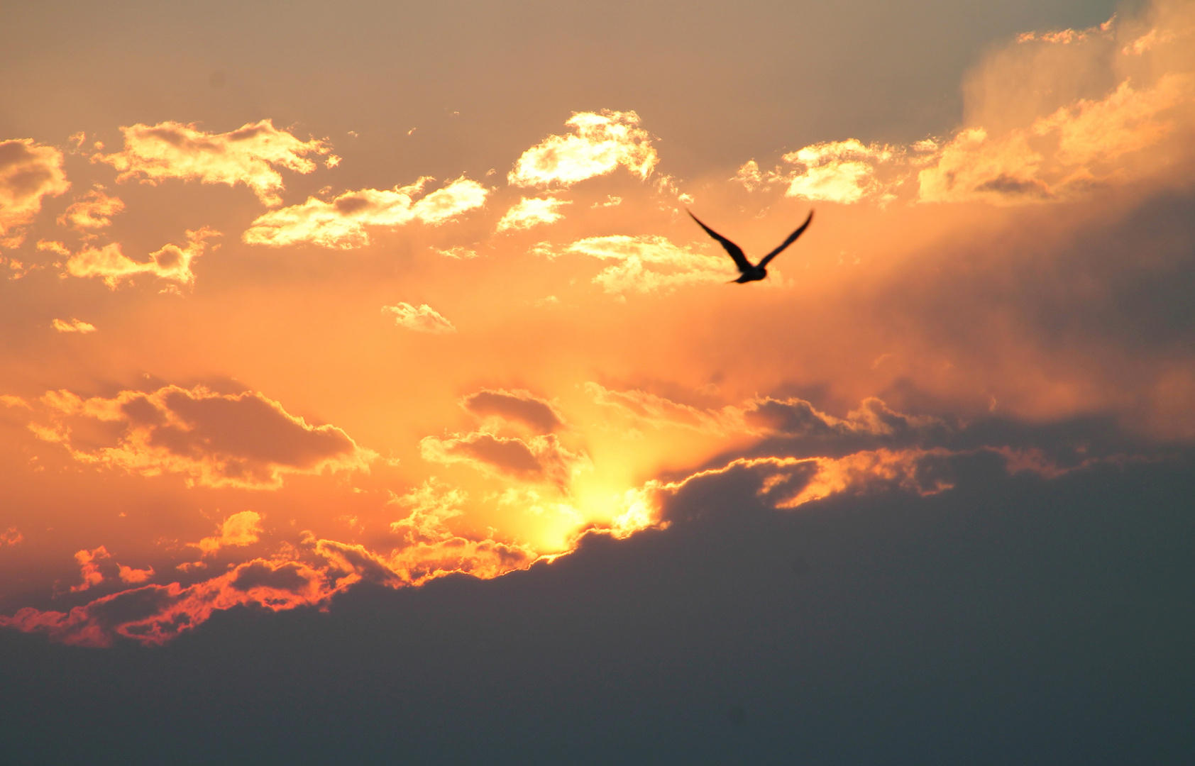 volo nel tramonto infuocato