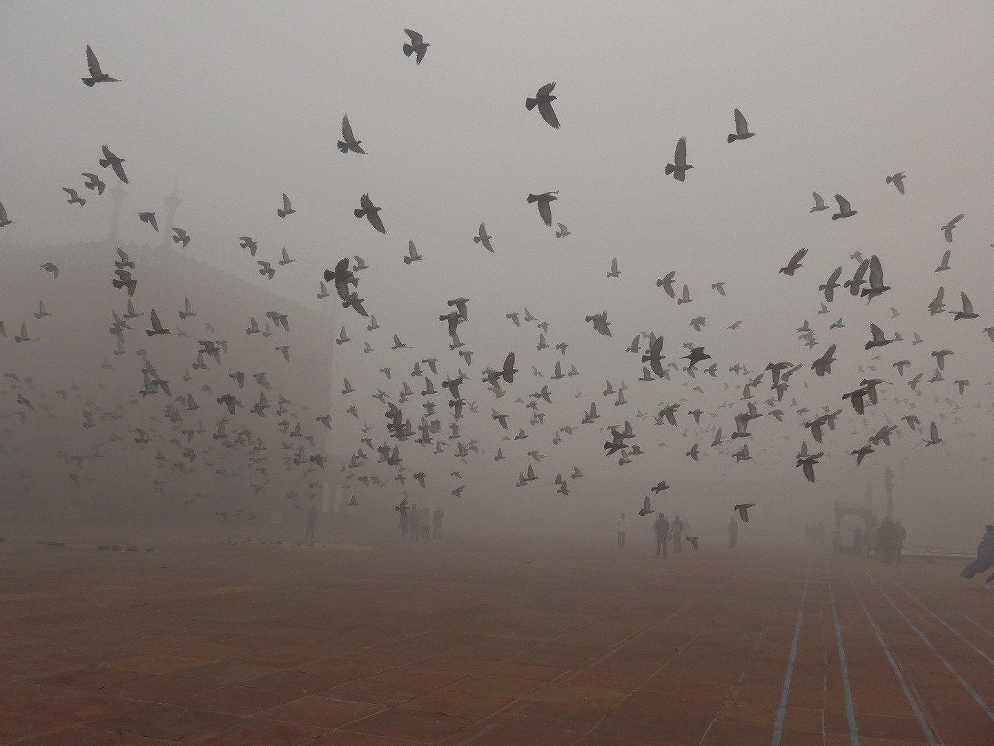 volo nella nebbia