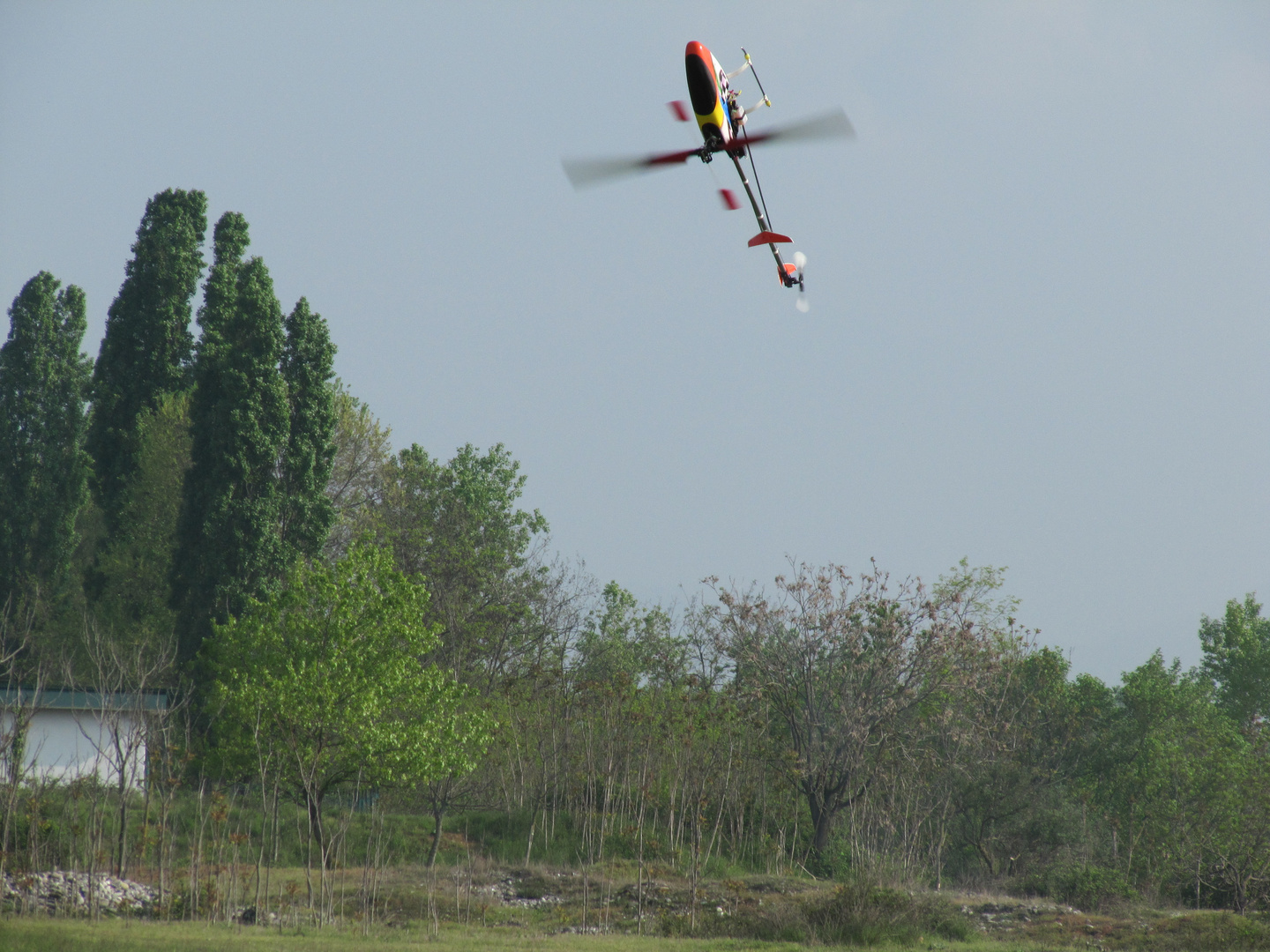 Volo rovescio