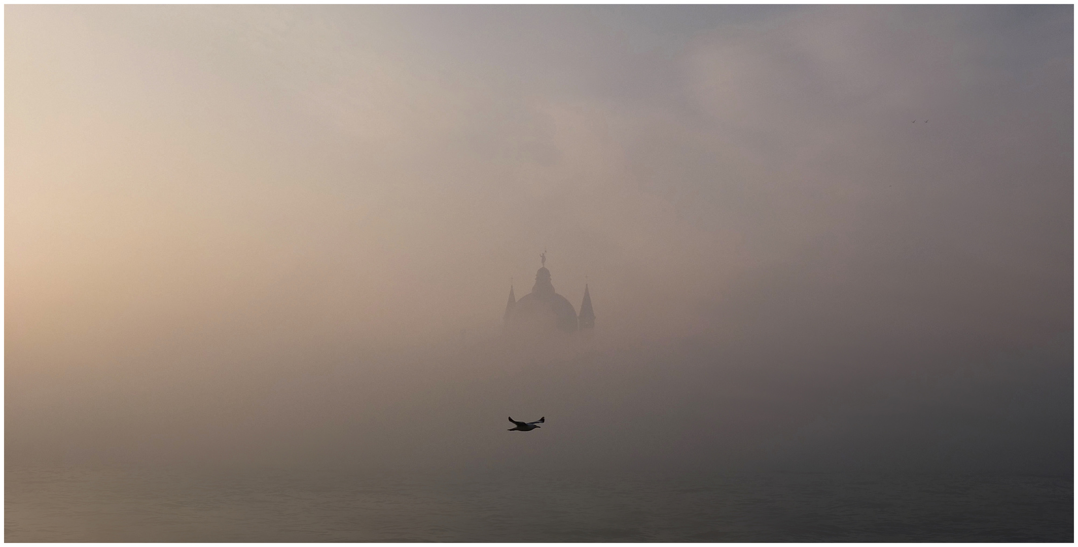 volo solitario nella nebbia