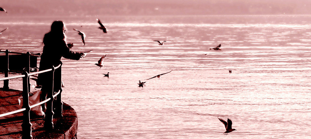 Volo sul Lago Maggiore