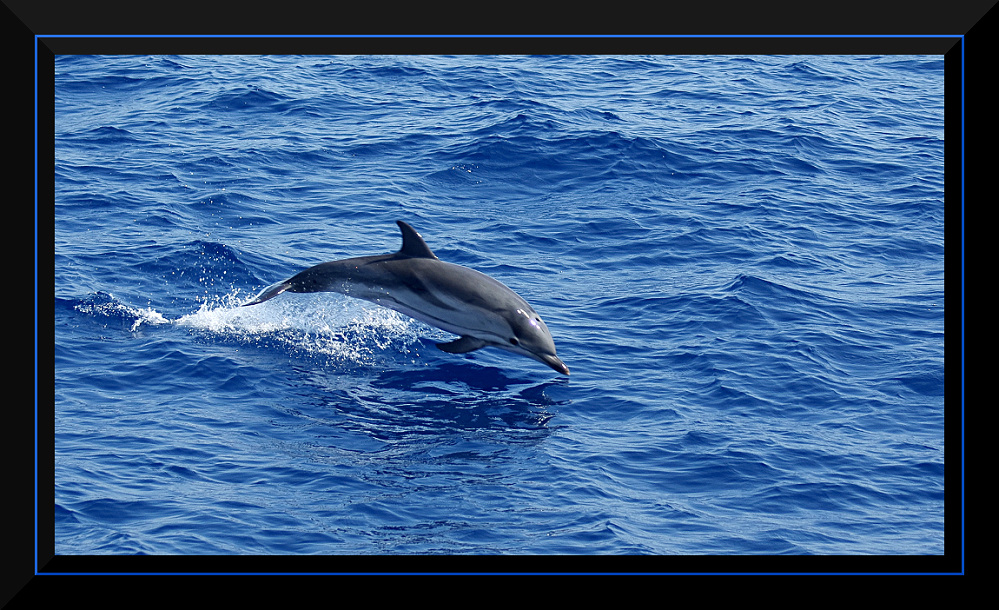 Volo sull'acqua 1