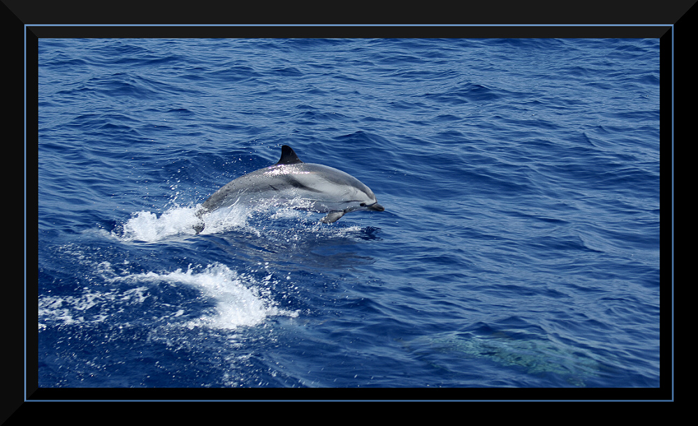 Volo sull'acqua 2