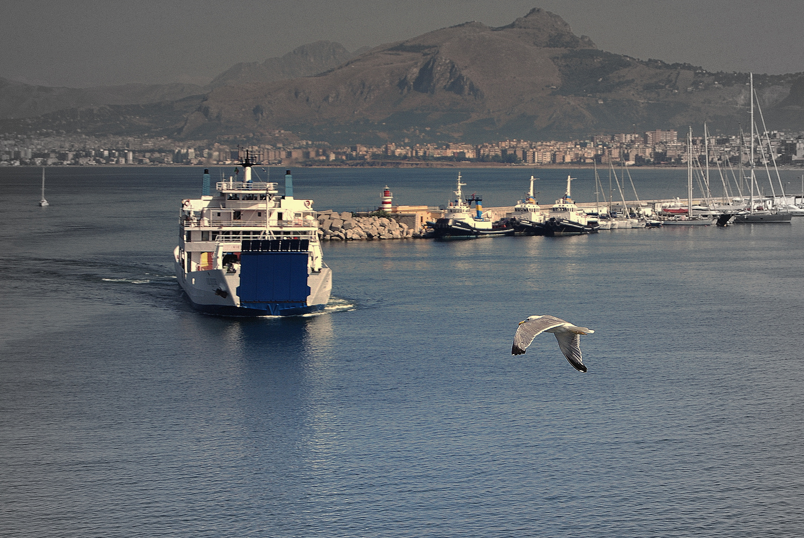 Volo tra cielo e mare.