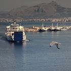 Volo tra cielo e mare.