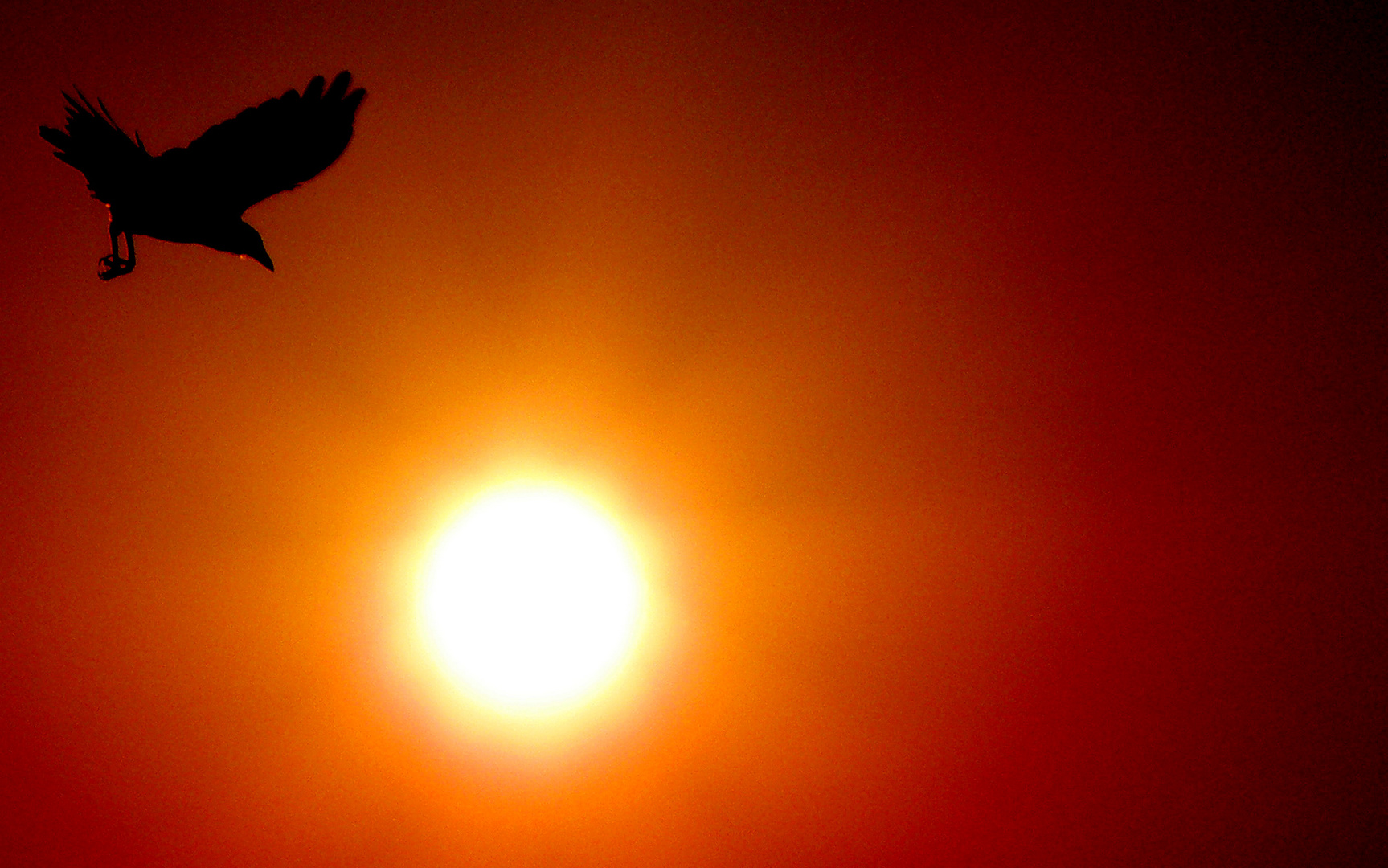 volo verso l'alba di un nuovo giorno