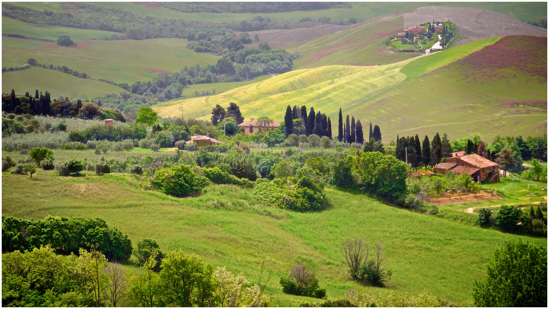 Volterra