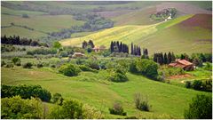 Volterra