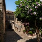 Volterra, 2