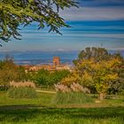 Volterra