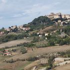 Volterra