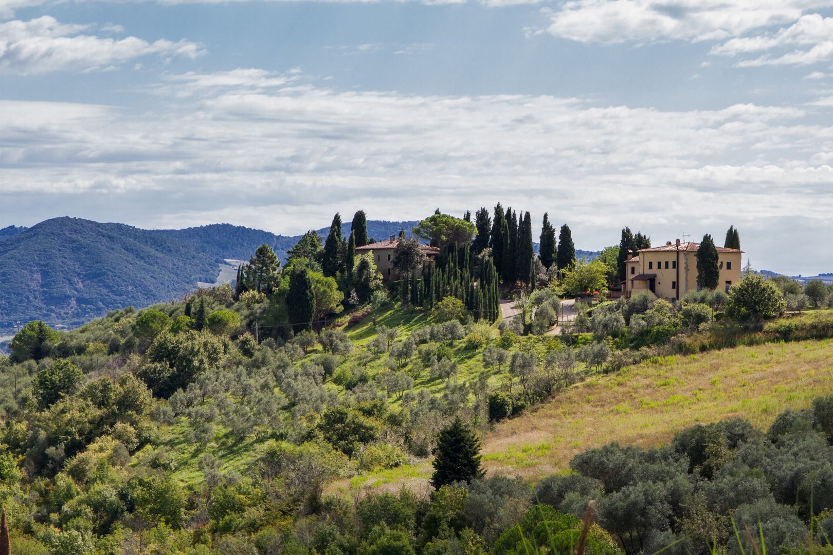 Volterra