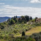 Volterra