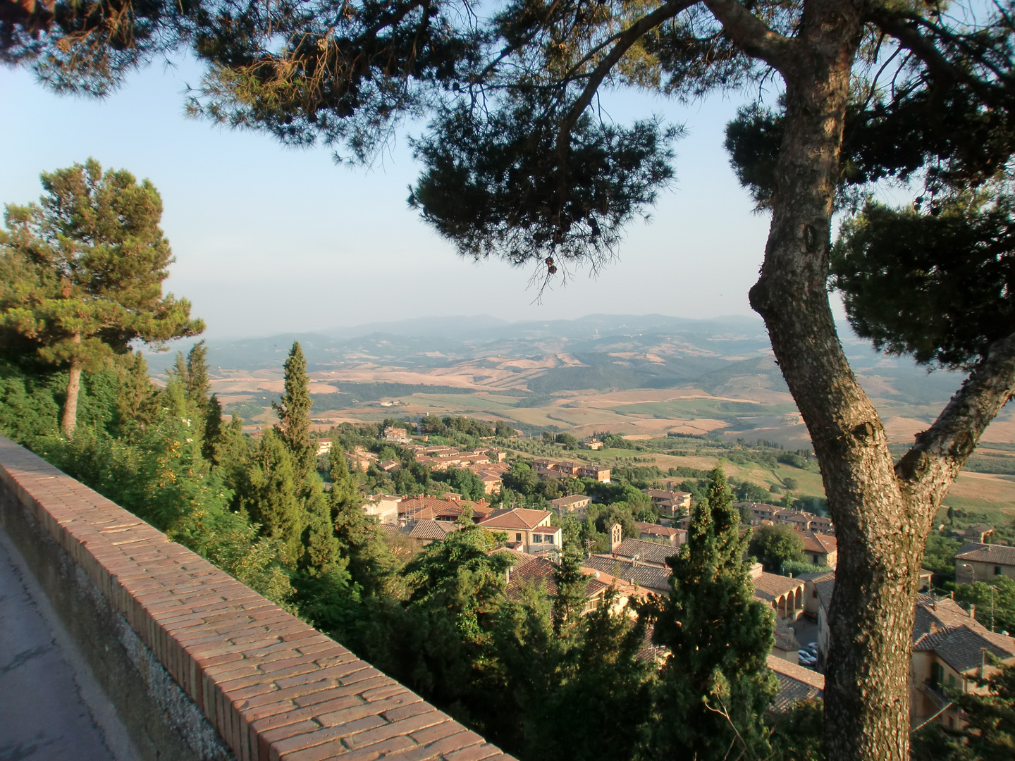 Volterra