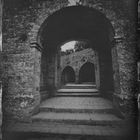 Volterra, Ambrotype, Wet Plate, Tintype