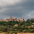 Volterra