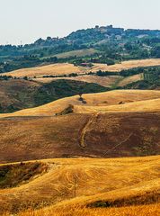 Volterra