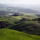 Volterra